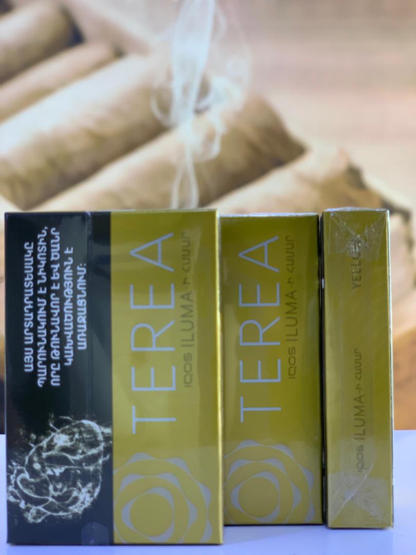 ترا ایلوما ارمنی زرد Terea yellow