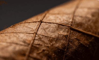 راهنمای تشخیص سیگار اصل از تقلبی؛ هنگام خرید به چه نکاتی توجه کنیم؟